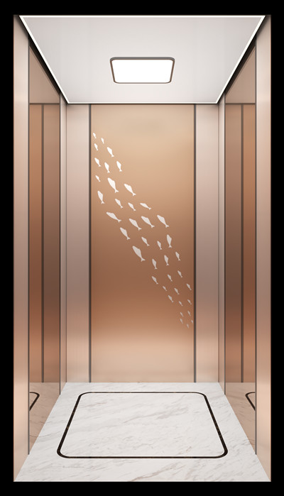 家用電梯轎廂裝潢